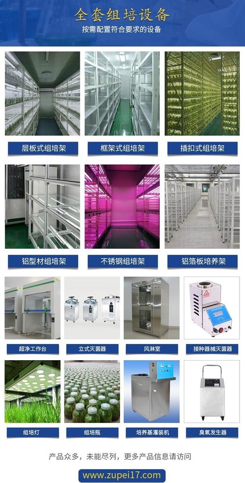 組培實驗室規(guī)劃與預算 貴州設計圖與云南設備清單解析