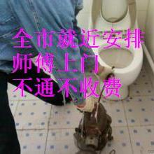 合肥瑤海區志邦家政服務部 專業家政服務，為您的家庭煥發溫馨與潔凈